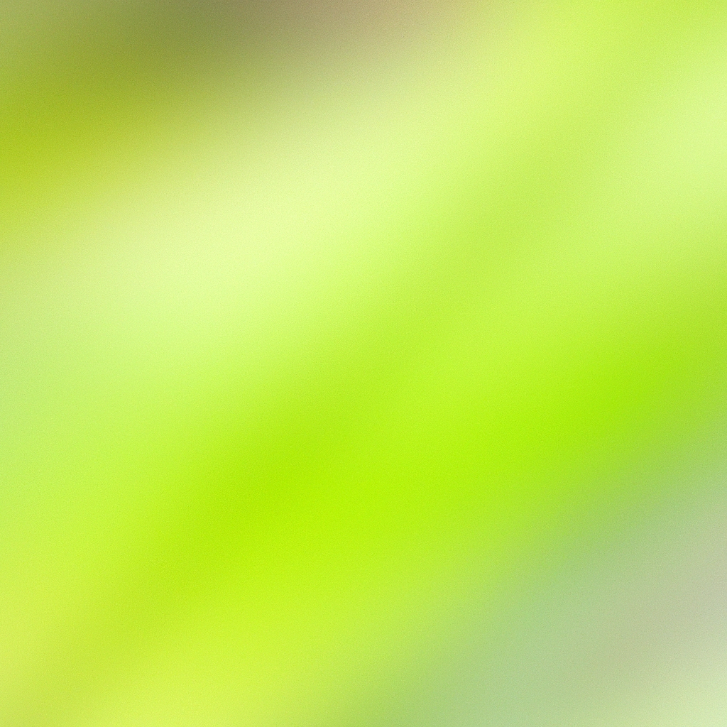 Sfondo morbido per lettura senza distrazioni con attrezzi sfocati